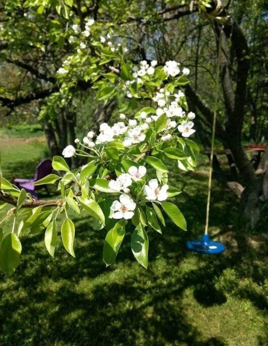 ליונס הד Family Friendly Cottage ☆Walking Distance To Beach מראה חיצוני תמונה